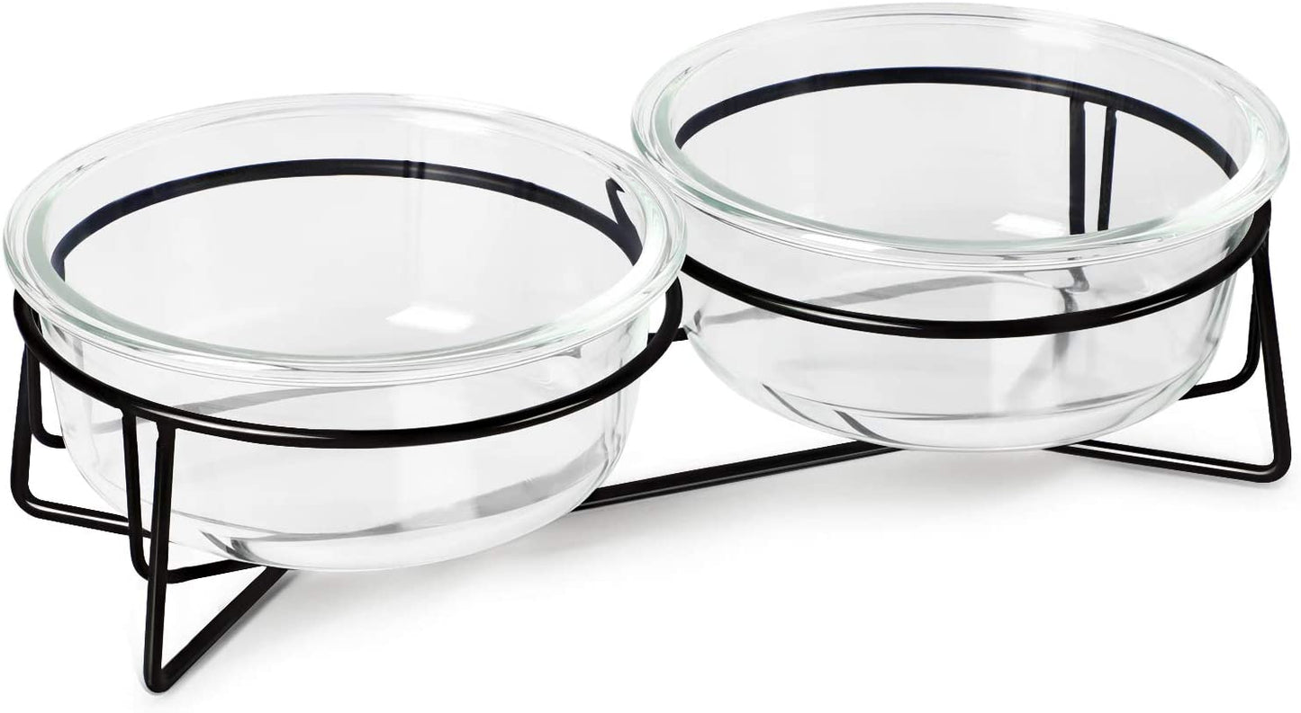 Double Glass Raised Cat or Small Dog Bowls with Metal Stand for Pet Food and Wat
