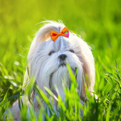 100Pcs/50Pairs Bulk Dog Bows, Cute Small Dog Hair Bows with Rubber Bands