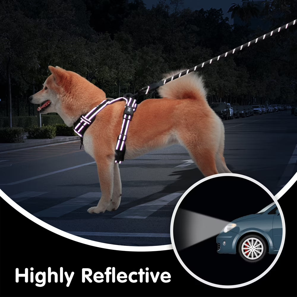 Dog Harness and Leash Combo, Escape Proof No Pull Vest Harness, Reflective Adjustable Soft Padded Pet Harness with Handle for Small to Large Dogs