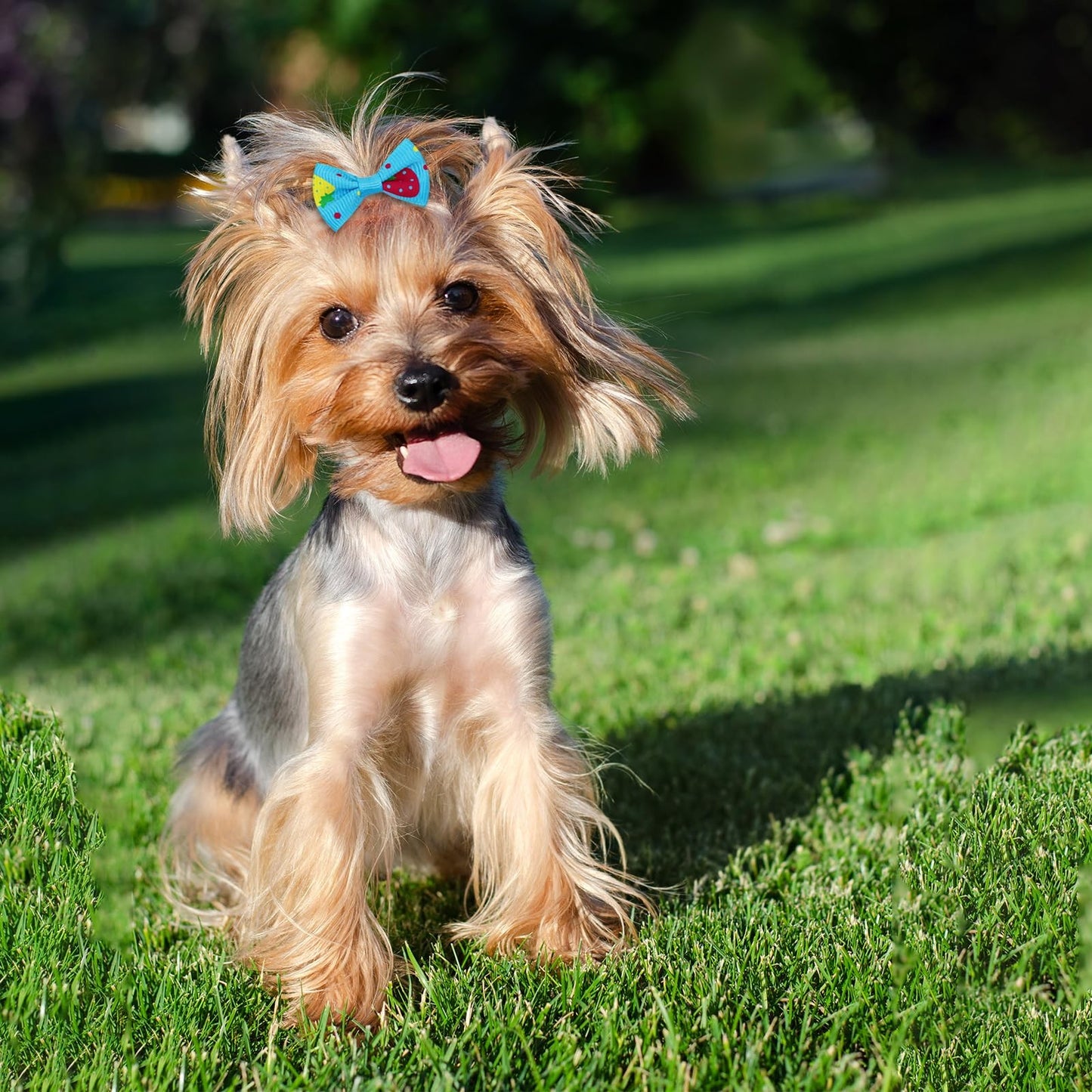 100Pcs/50Pairs Bulk Dog Bows, Cute Small Dog Hair Bows with Rubber Bands