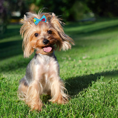 100Pcs/50Pairs Bulk Dog Bows, Cute Small Dog Hair Bows with Rubber Bands