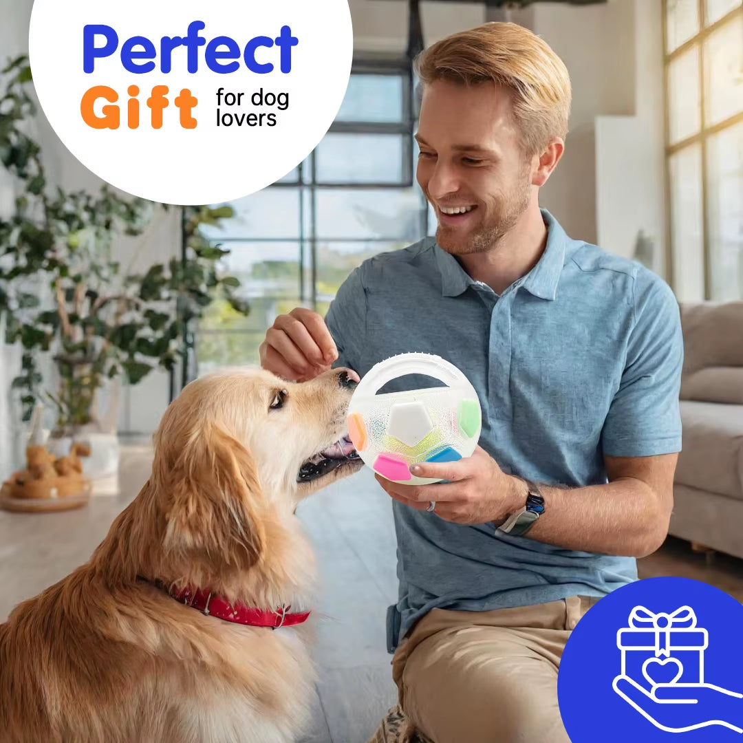 Football Tennis Dog Toy