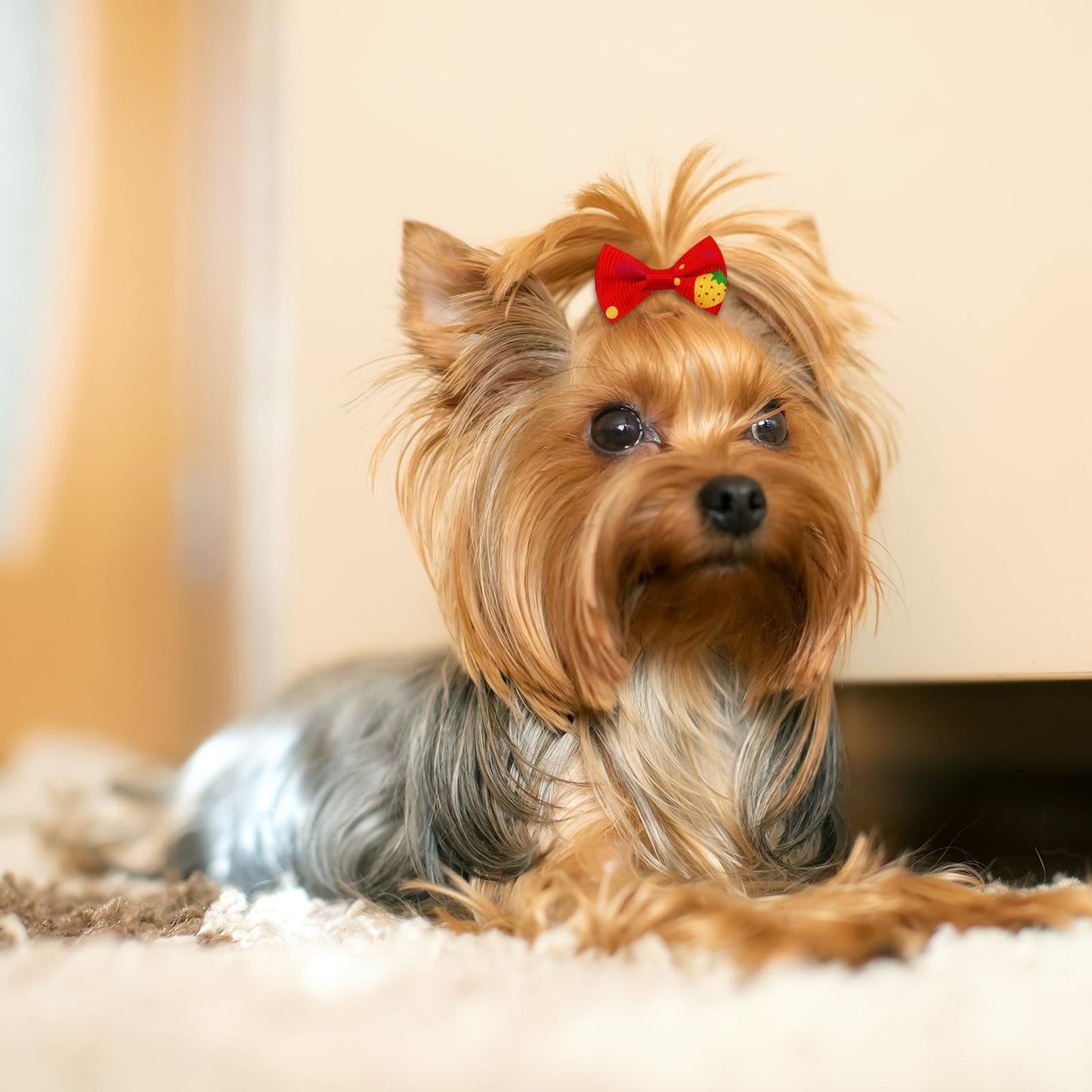 100Pcs/50Pairs Bulk Dog Bows, Cute Small Dog Hair Bows with Rubber Bands