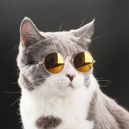 Lovely Vintage round Pet Sunglasses Reflection Eye Wear Glasses for Small Dog Cat Animal Photos Props Accessories