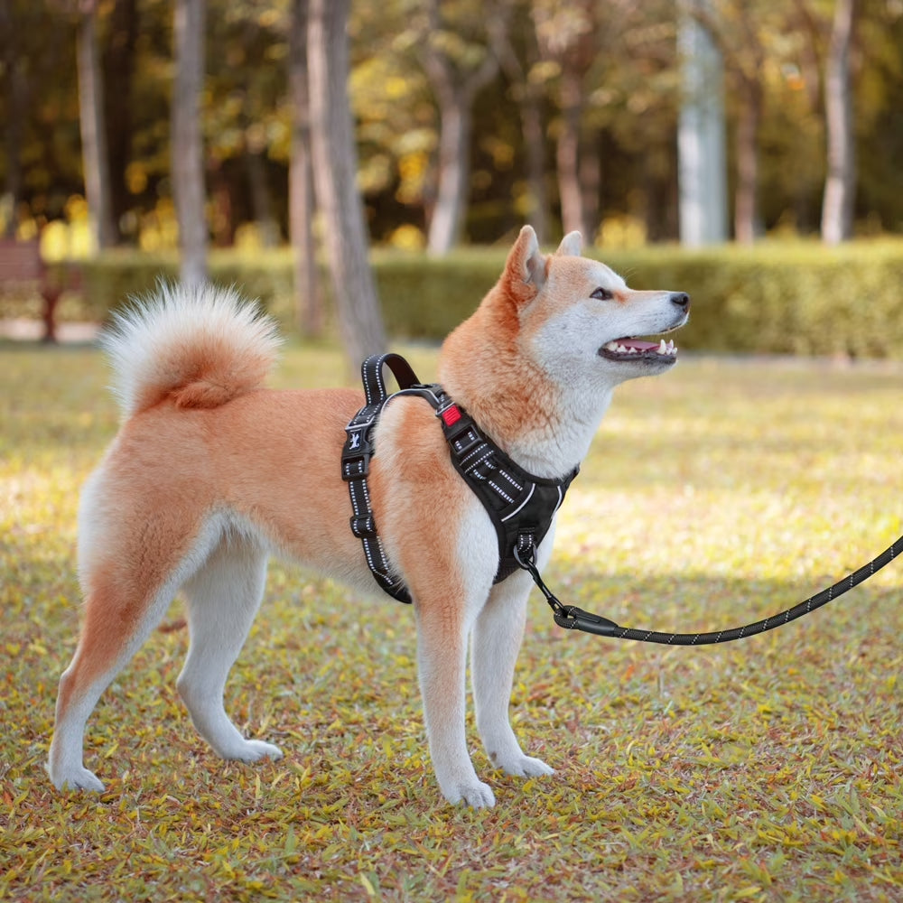 Dog Harness and Leash Combo, Escape Proof No Pull Vest Harness, Reflective Adjustable Soft Padded Pet Harness with Handle for Small to Large Dogs