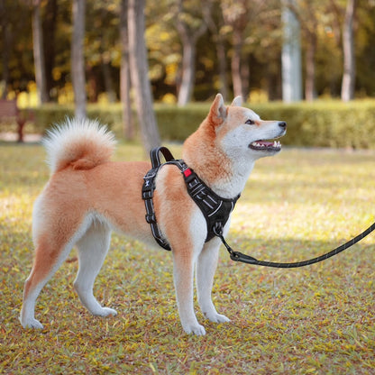 Dog Harness and Leash Combo, Escape Proof No Pull Vest Harness, Reflective Adjustable Soft Padded Pet Harness with Handle for Small to Large Dogs