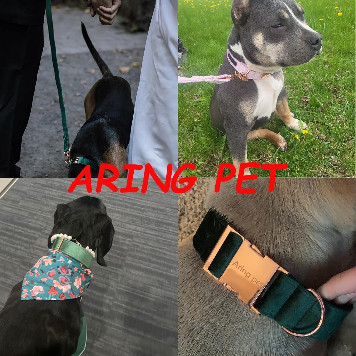 Velvet Dog Collar and Leash Set, Soft Dog Collar and Leash, Adjustable Collars for Dogs