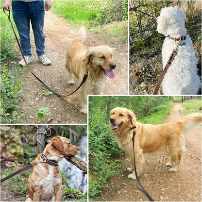 6Ft Brown Leather Dog Leash, 3/4" Braided Heavy Duty, Strong for All Dog Sizes