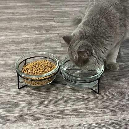 Double Glass Raised Cat or Small Dog Bowls with Metal Stand for Pet Food and Wat