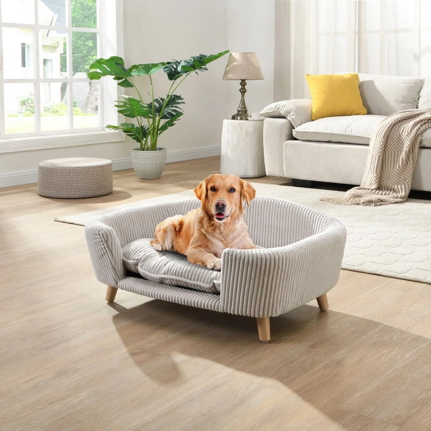 Elevated Dog Bed Frame for Small Dog, Corduroy Pet Couch Bed with Rubber Wood Legs and Supportive Foam, Gray, Easy Assembly