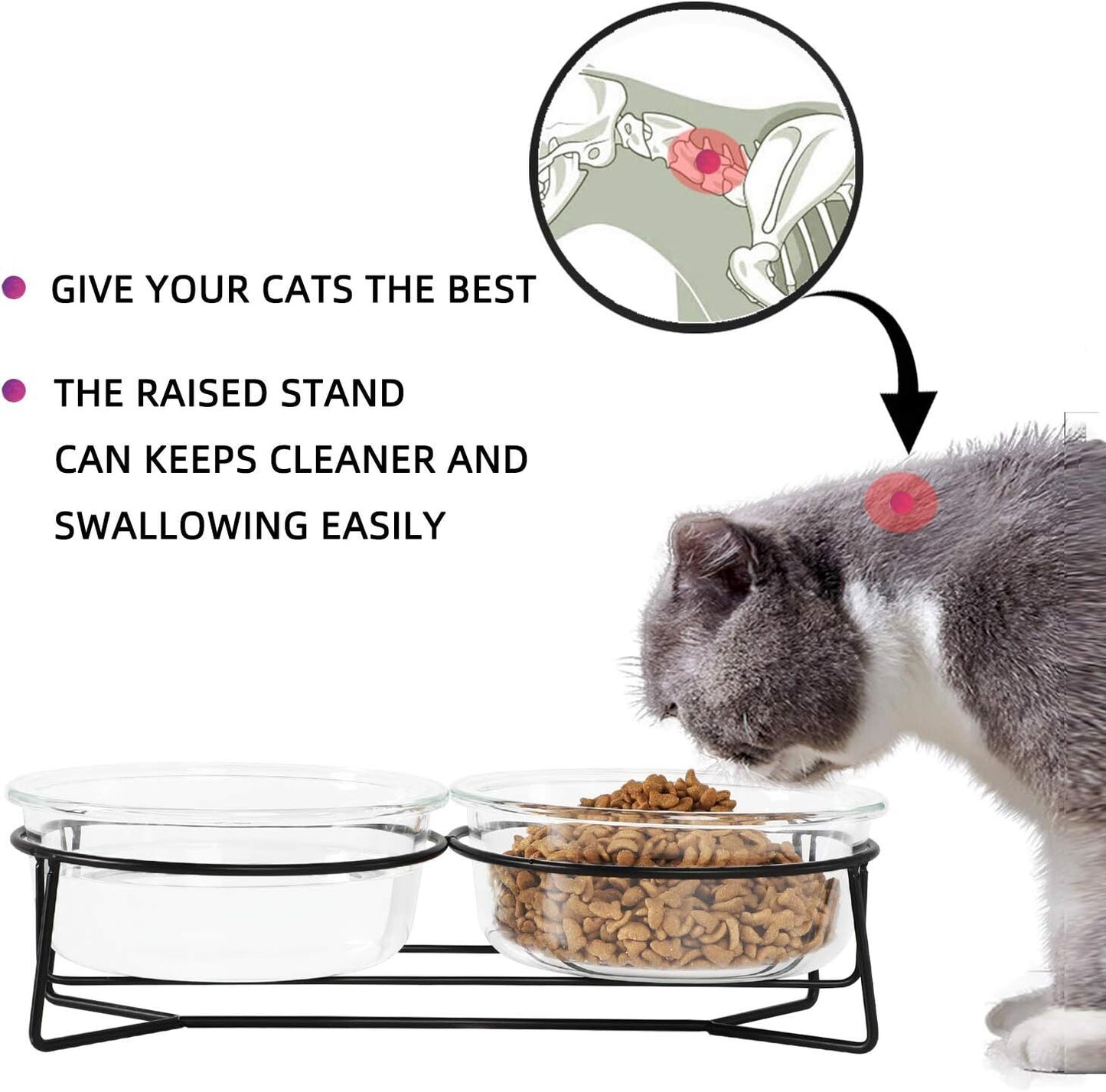 Double Glass Raised Cat or Small Dog Bowls with Metal Stand for Pet Food and Wat